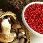 Новый стандарт на органическую продукцию.