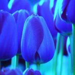 Поздравление руководителя Росстандарта с Международным женским днем