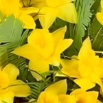 ПОЗДРАВЛЕНИЕ С МЕЖДУНАРОДНЫМ ЖЕНСКИМ ДНЕМ