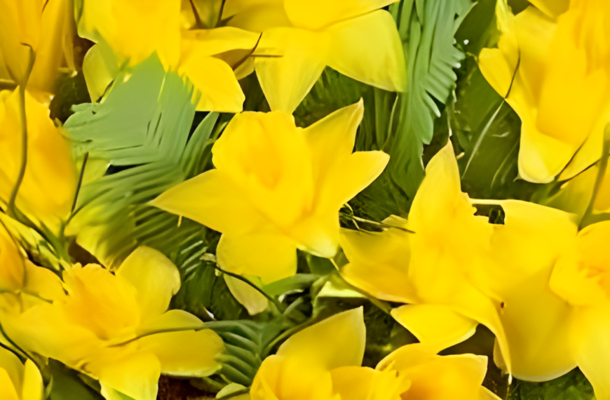 ПОЗДРАВЛЕНИЕ С МЕЖДУНАРОДНЫМ ЖЕНСКИМ ДНЕМ